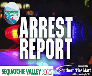 local-arrest-reports