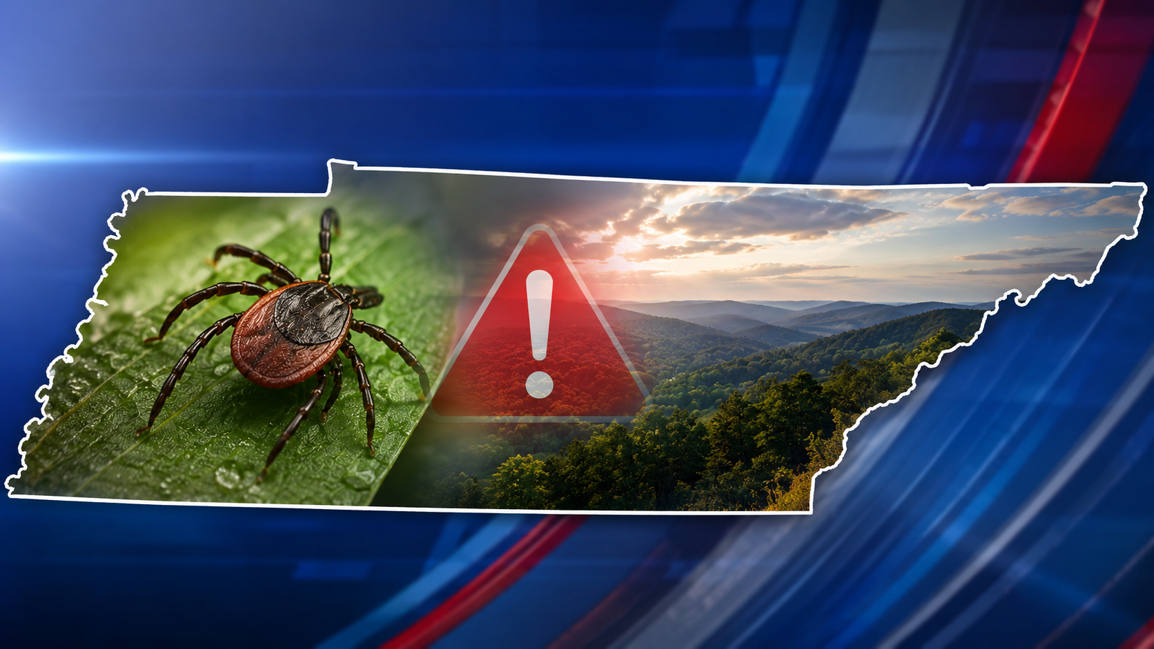 Tennessee Officials Warn of Increased Tick Activity Following Warm, Wet ...